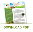 Download PDF