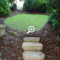 Simply Organic Lawn Treated with Atlanta Organic Lawn Care Products