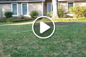 Aeration and Overseeding by Simply Organics Atlanta Organic Lawn Care Professionals