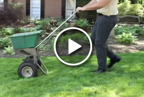 Learn more about Simply Organic's Atlanta Organic Lawn Care Programs