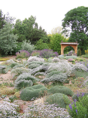 Steps To Xeriscaping Organic Landscapes In Atlanta Simply Organic Turf Care