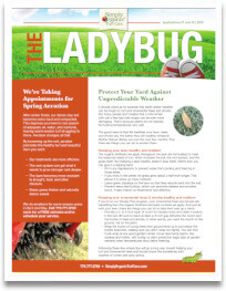 The Ladybug 2023